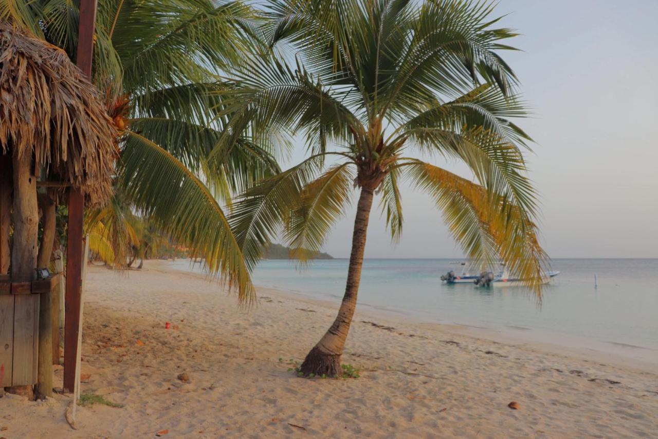 Hotel Posada Seremein Roatan West Bay Bagian luar foto