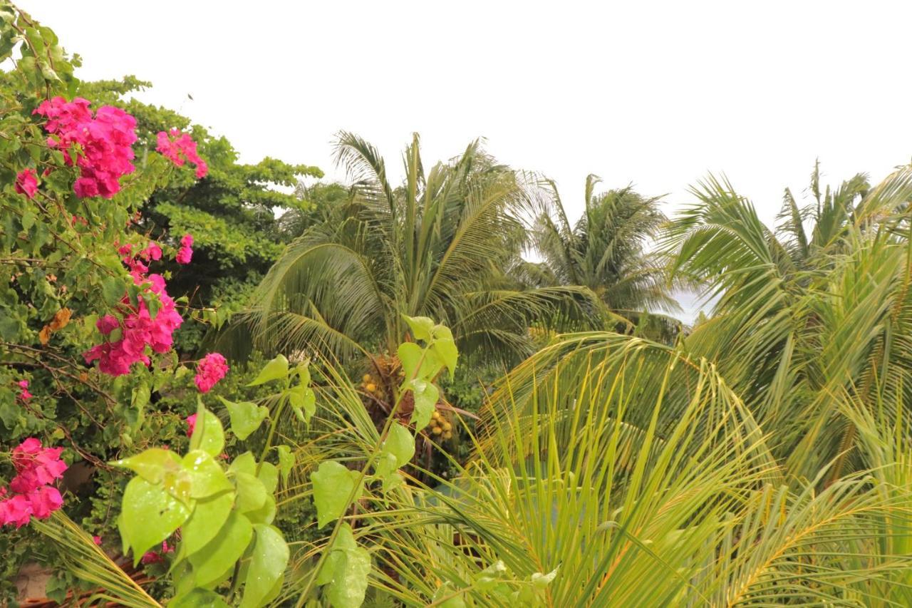 Hotel Posada Seremein Roatan West Bay Bagian luar foto