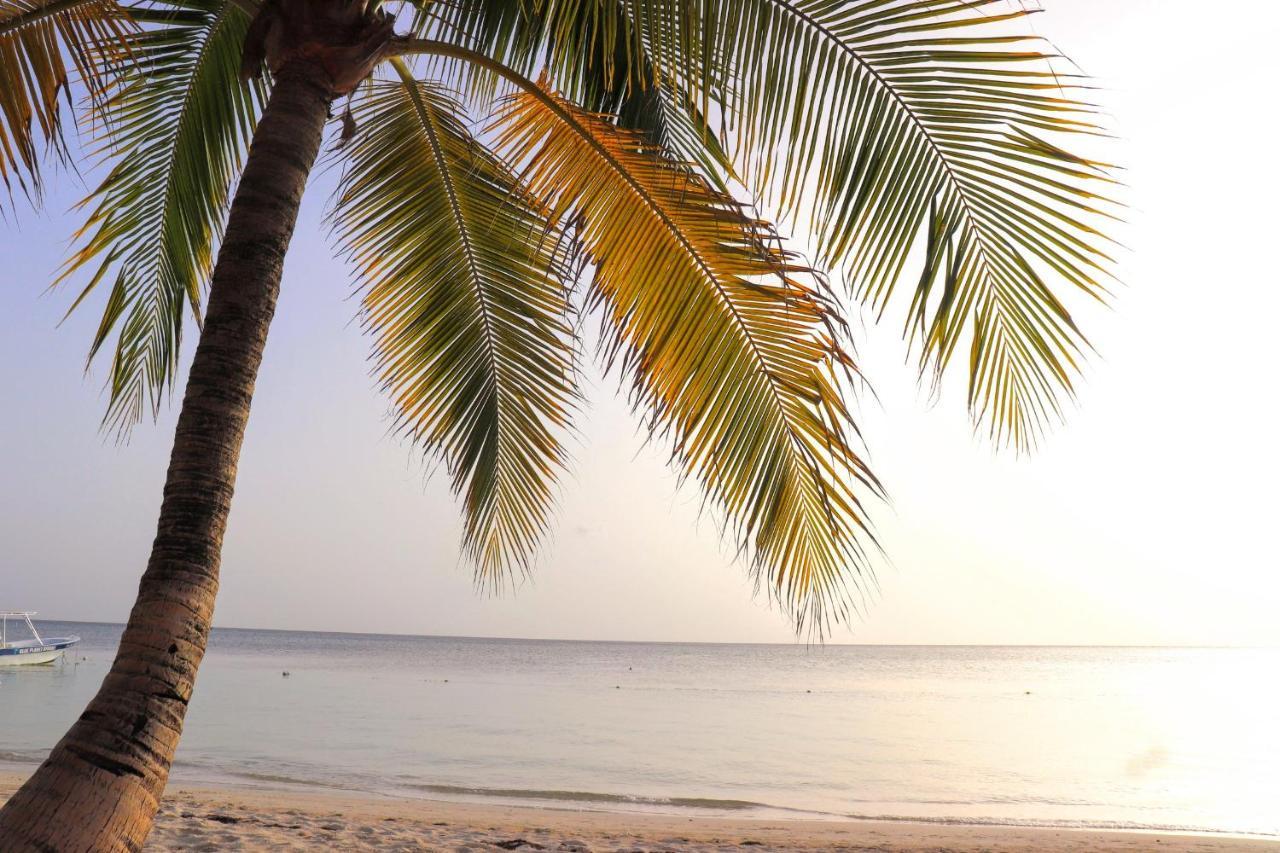 Hotel Posada Seremein Roatan West Bay Bagian luar foto