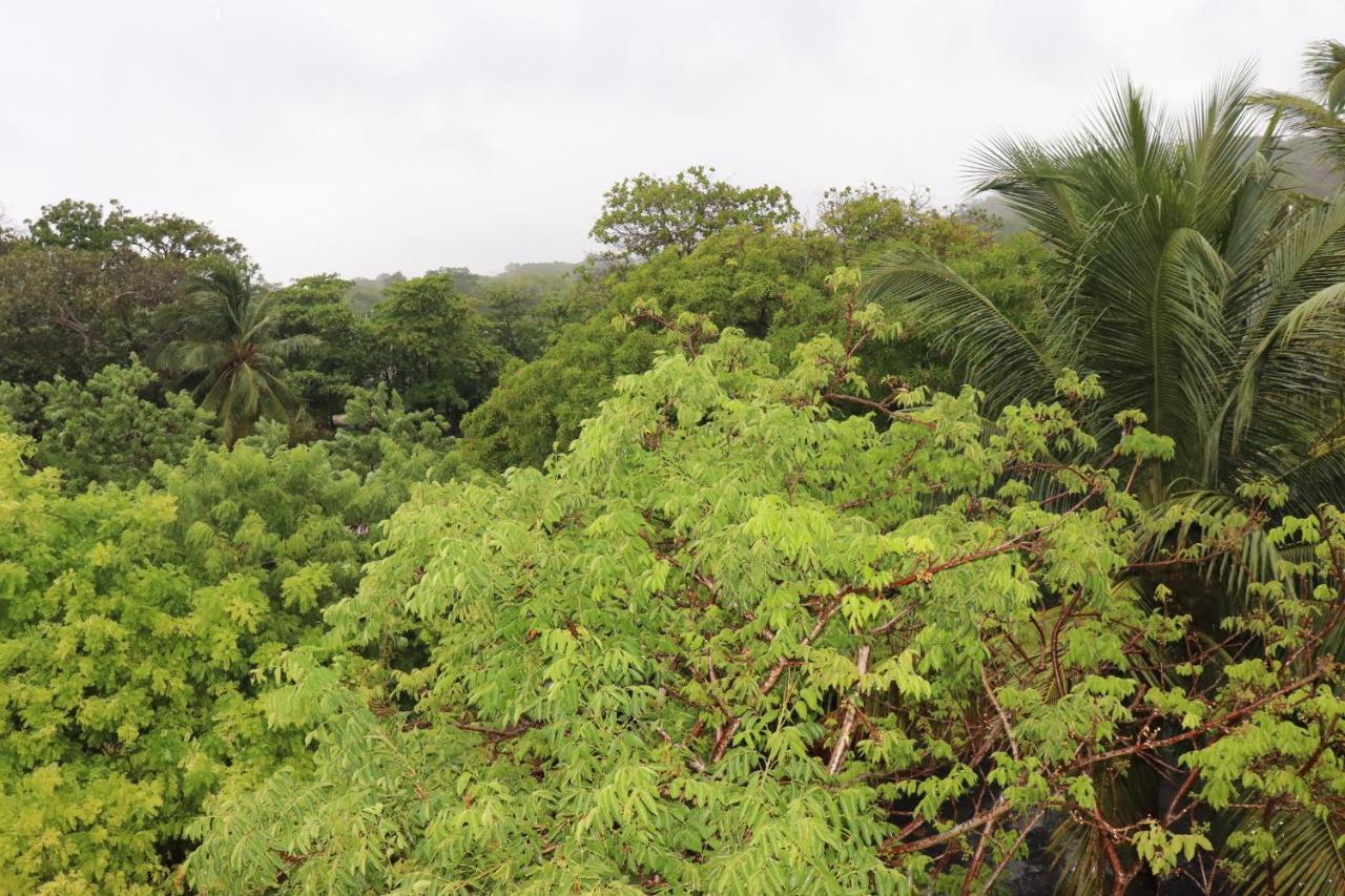 Hotel Posada Seremein Roatan West Bay Bagian luar foto